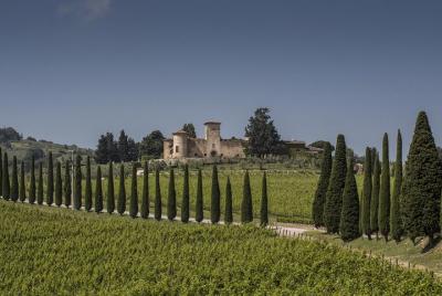 Experiencia del vino en Chianti Classico Experiencia del vino en Chianti Classico