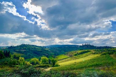 Tour de la experiencia del vino Chianti Tour de la experiencia del vino Chianti