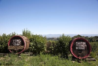 Región de Chianti y San Gimignano, que incluyen degustación de vinos y comida ligera. Región de Chianti y San Gimignano, que incluyen degustación de vinos y comida ligera.