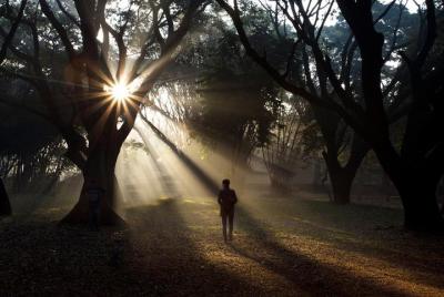 Patrimonio y cultura de Bangalore: una visita guiada a pie