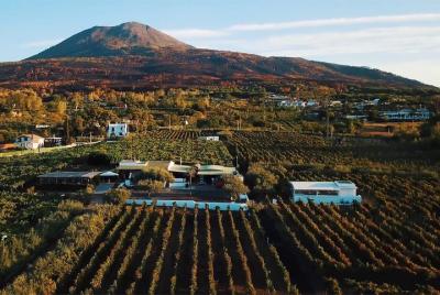 Degustación de vinos orgánicos con almuerzo en el Vesubio cerca de Pompeya Degustación de vinos orgánicos con almuerzo en el Vesubio cerca de Pompeya