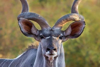 ¡Cataratas Victoria al Parque Nacional Matopos!