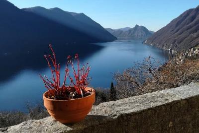Excursión de medio día en bicicleta por el lago de Lugano con almuerzo