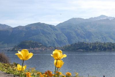 Las joyas del lago de Como: villas y jardines entre Tremezzo y Bellagio