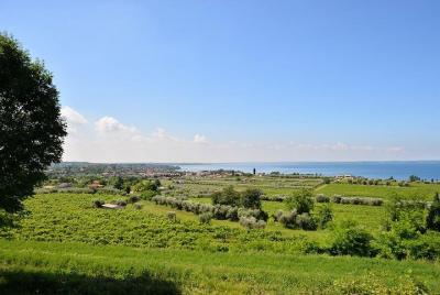 Descubriendo los vinos del lago de Garda