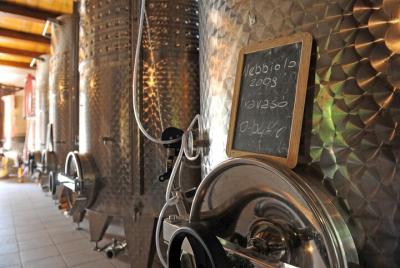 Visita y degustación de 4 vinos D.O.C. Fontechiara Visita y degustación de 4 vinos D.O.C. Fontechiara