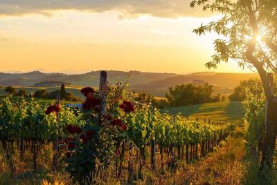 Excursión por la costa de La Spezia: viaje de cata de vinos de Chianti Excursión por la costa de La Spezia: viaje de cata de vinos de Chianti