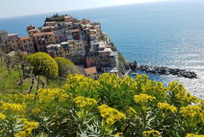Auténtica excursión Cinque Terre Auténtica excursión Cinque Terre