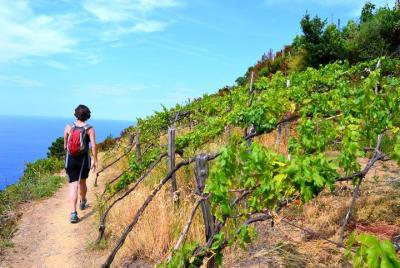 Experiencia completa privada de Cinque Terre: senderismo, pueblos, incluido vino y almuerzo Experiencia completa privada de Cinque Terre: senderismo, pueblos, incluido vino y almuerzo