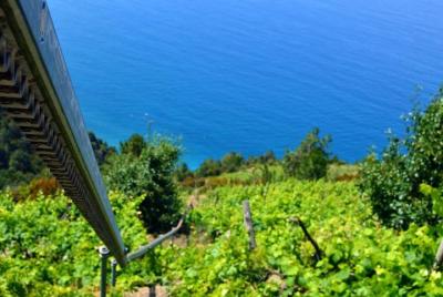 Pueblos y viñedos privados de Cinque Terre Pueblos y viñedos privados de Cinque Terre