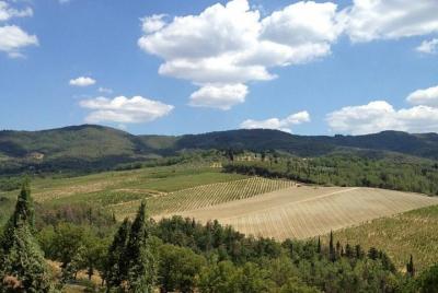 Excursión privada desde el puerto de La Spezia: descubriendo la Toscana Excursión privada desde el puerto de La Spezia: descubriendo la Toscana