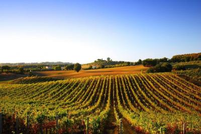 Excursión de un día desde el muelle de La Spezia: San Gimignano y cata de vinos - tour privado Excursión de un día desde el muelle de La Spezia: San Gimignano y cata de vinos - tour privado