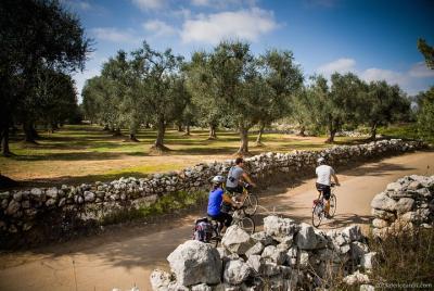 Ciclismo en Salento: Capo di Leuca Tour de 4 horas en bicicleta Ciclismo en Salento: Capo di Leuca Tour de 4 horas en bicicleta