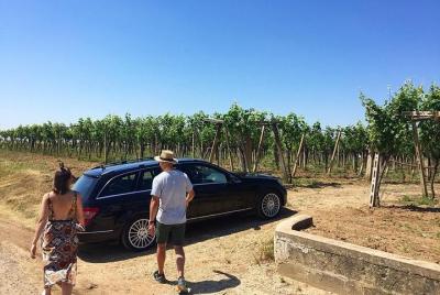 Tour del vino y almuerzo ligero Salento y Puglia Tour del vino y almuerzo ligero Salento y Puglia