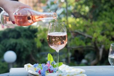 Tour clásico de vinos de Apulia con degustación Tour clásico de vinos de Apulia con degustación