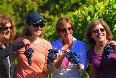 Excursión en tierra desde Livorno Caza de trufas, clase de cocina y tour de vinos Chianti