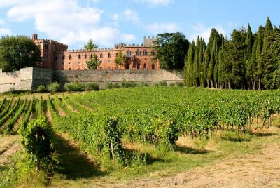Excursión por la costa del puerto de Livorno: castillo de Siena y Chianti con almuerzo y degustación de vinos