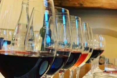 Visita guiada a la bodega con degustación y almuerzo ligero en Bolgheri