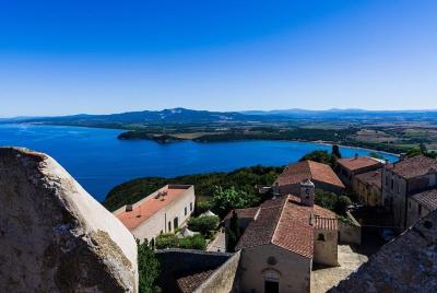 Tour privado desde el puerto de Livorno: la costa etrusca y el vino