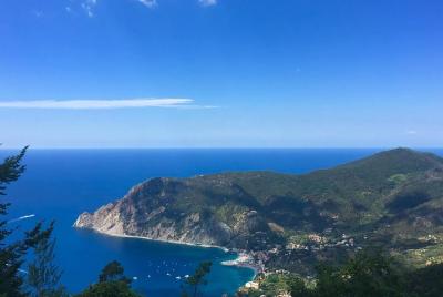 Tour privado de Cinque Terre desde Lucca