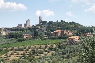 Excursión en tierra San Gimignano, bodega, Volterra desde el puerto de Livorno
