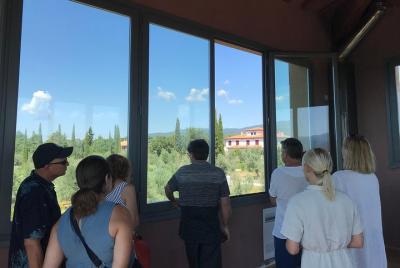 Tour privado de vinos: 2 hermosas bodegas y almuerzo en el corazón de Bolgheri