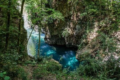 Canyon Park zip Lane y almuerzo