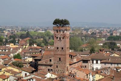 Traslado privado: puerto de Civitavecchia a Lucca o viceversa