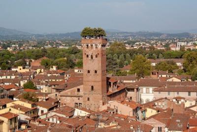 Traslado directo desde su hotel en LUCCA a su hotel en ROMA