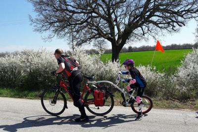 Paseo en bicicleta al lago con taller de cometas