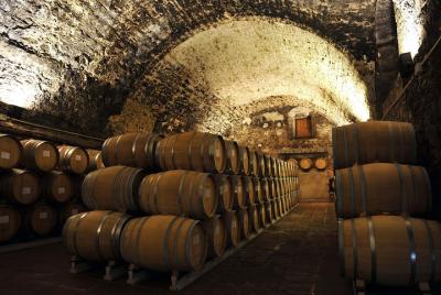 Tour de las bodegas Terroir y Grapes Priorat - Tour privado