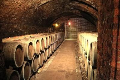 Recorrido por las bodegas orgánicas en las colinas de Piacenza. Recorrido por las bodegas orgánicas en las colinas de Piacenza.