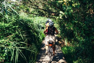 Tour en bicicleta eléctrica por los bosques urbanos de Milán Tour en bicicleta eléctrica por los bosques urbanos de Milán