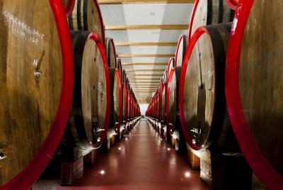 Vinagre Balsámico DOP, Queso Parmigiano Reggiano DOP, Lambrusco Wine & Sport Cars