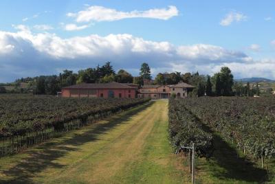 Visita y cata de vinos en Cleto Chiarli