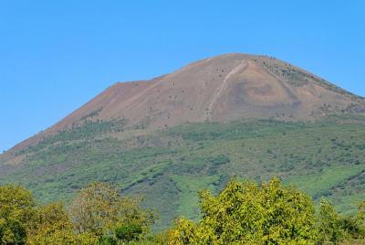 Excursión de medio día al Monte Vesubio desde Nápoles