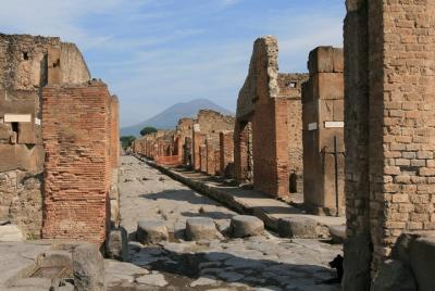 Tour de día completo en Pompeya, Herculano y Vesubio desde Nápoles