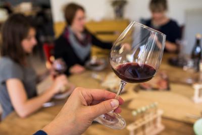 Cata profesional de 6 vinos con aperitivos regionales en la casa de un local - Nápoles