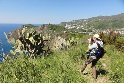 Caminata de medio día por la costa este en la isla de Ischia con recogida