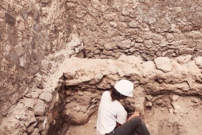 Tour privado de Herculano con arqueólogo