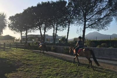 Excursión de hípica y degustación de vinos