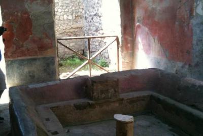 Semi - Tour privado exclusivo de las ruinas de Pompeya y degustaciones de vinos de Nápoles