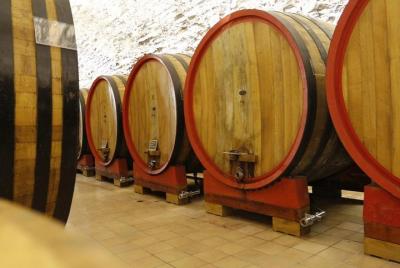Degustación de vinos, visita a la bodega Valpolicella, tour de un día por la región de Amarone y vinos tintos
