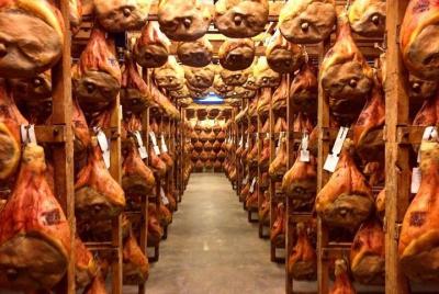 Granja de quesos, bodega, molino de aceite de oliva, fábrica de jamón y salchichas, visita privada.