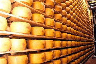 El Parmigiano Reggiano - Museo del queso parmesano