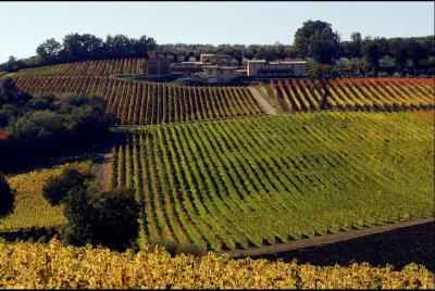 Ruta del vino en Umbría por el sendero Sagrantino Ruta del vino en Umbría por el sendero Sagrantino