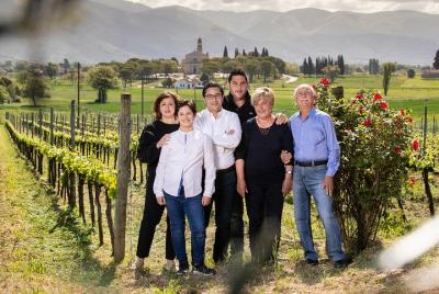 Visita guiada a la bodega y degustación privada en Montefalco Visita guiada a la bodega y degustación privada en Montefalco