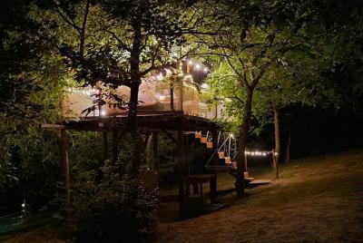 Cena de órgano de experiencia única en la copa de un árbol en Umbría Cena de órgano de experiencia única en la copa de un árbol en Umbría