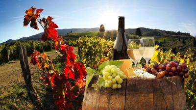 Relajante ruta del vino con comida y degustación de vinos - Umbría Relajante ruta del vino con comida y degustación de vinos - Umbría
