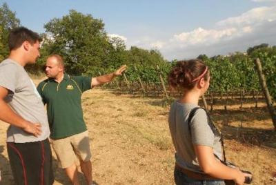 Montefalco: visita a la bodega y al molino de aceite con almuerzo ligero Montefalco: visita a la bodega y al molino de aceite con almuerzo ligero